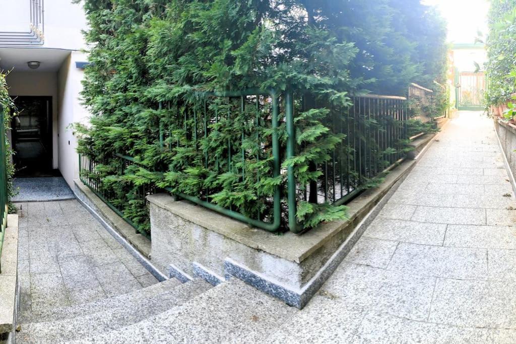 Casa Albertina Grazioso Appartamento Vicino Alla Stazione Monza Eksteriør billede